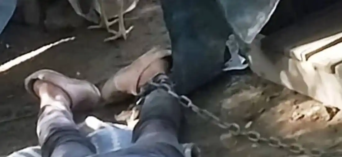 La víctima tiene síndrome de Down y discapacidad mental moderada.