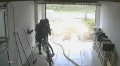 Así hurtaban una bicicleta a plena luz del día en Tandil