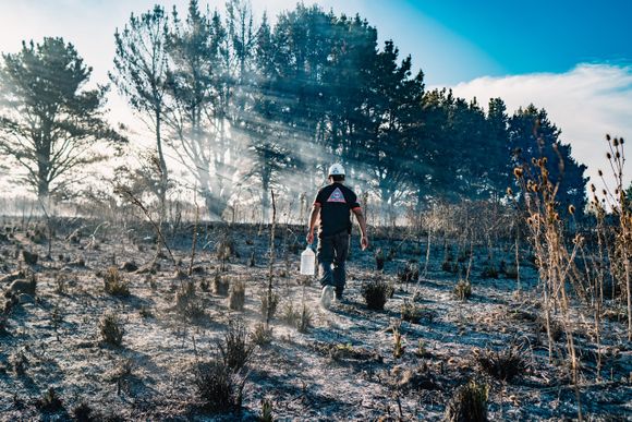 Extinguieron el incendio forestal de Laguna de Los Padres
