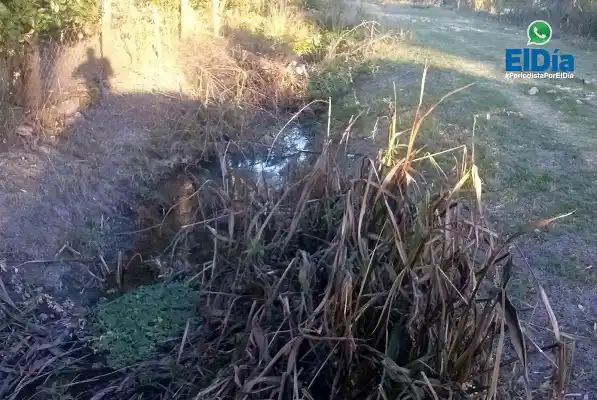 Camino de la costa: siguen tirando aguas servidas al río 