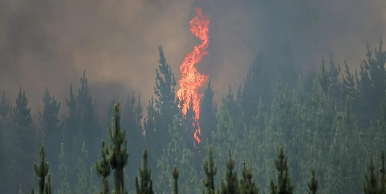 Las llamas se elevan durante un incendio forestal en la región del Biobío, Chile. REUTERS/Adriano Machado