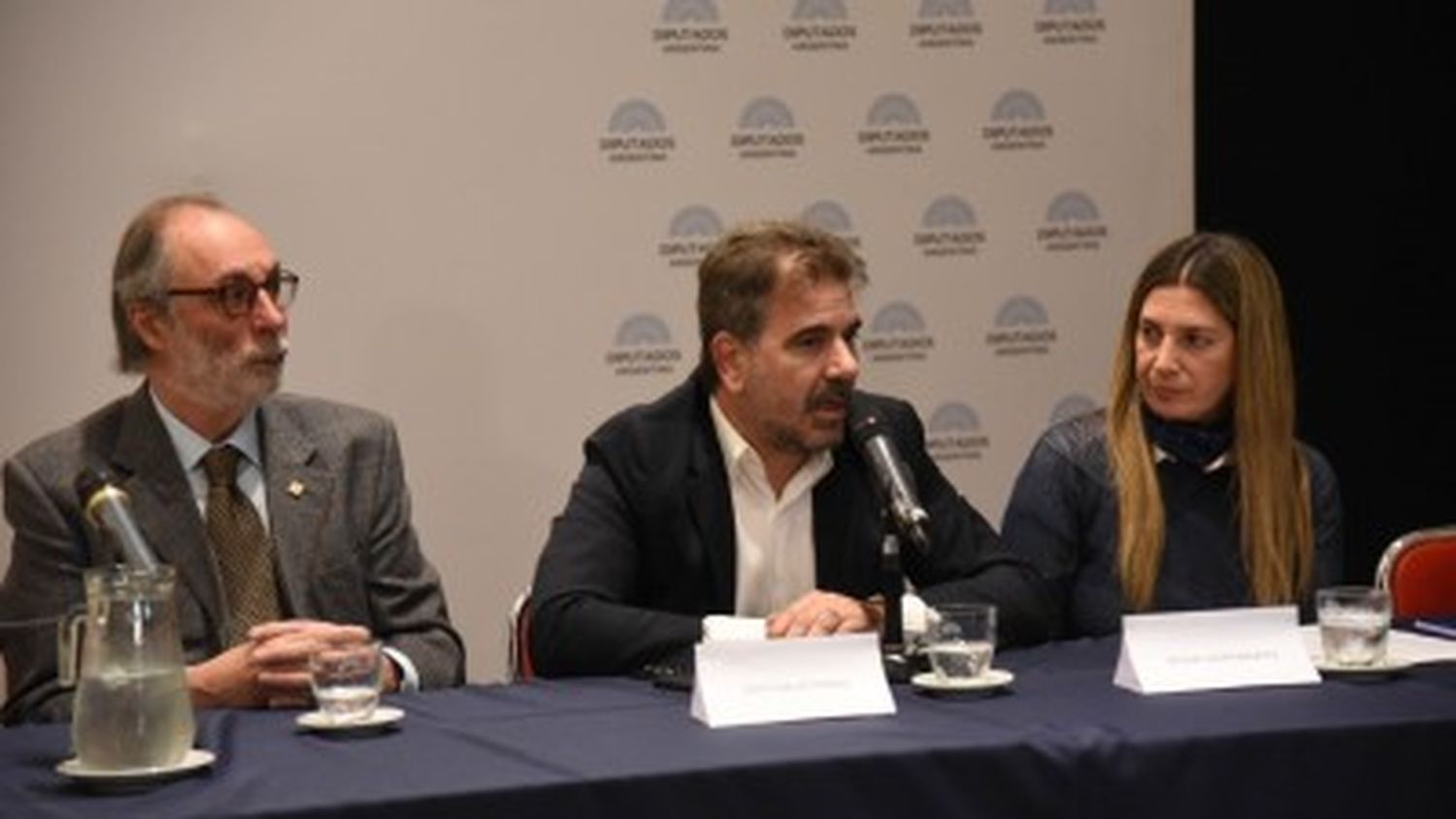 La sesión para debatir el proyecto conocido como “ficha limpia” fracasó.