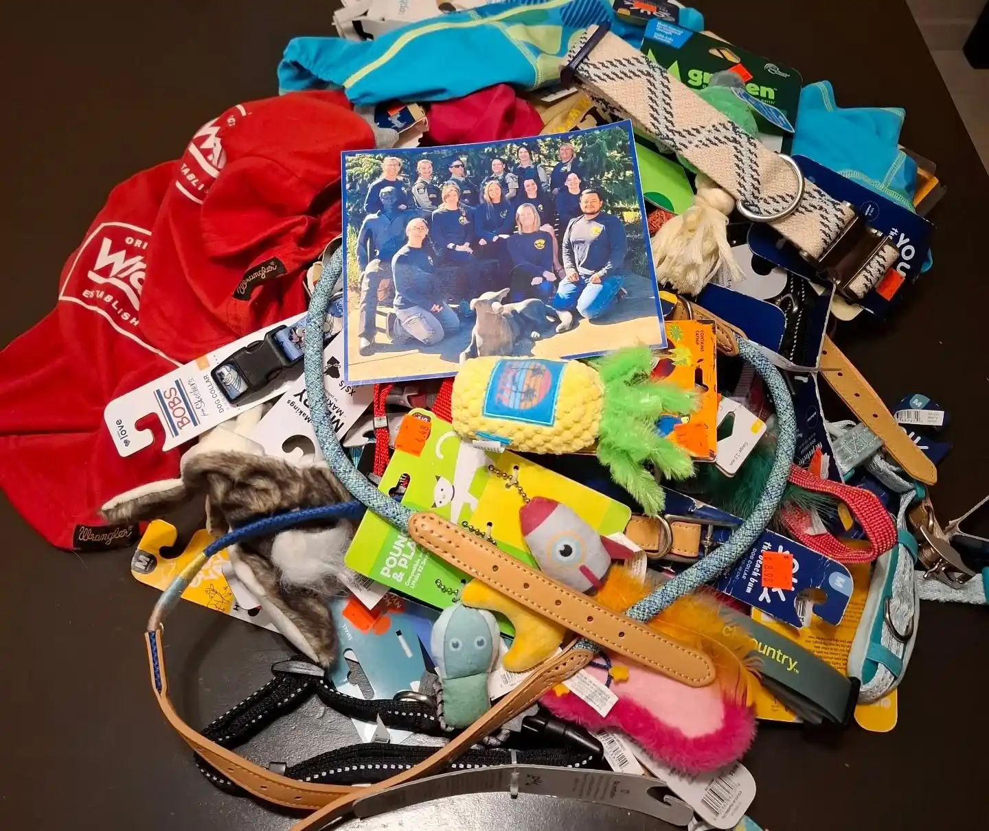 Una exvecina de Chascomús en Estados Unidos apoya a los animales de su ciudad natal