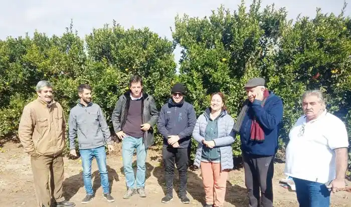 CAFESG avanza en la elaboración de fertilizantes  naturales con residuos regionales