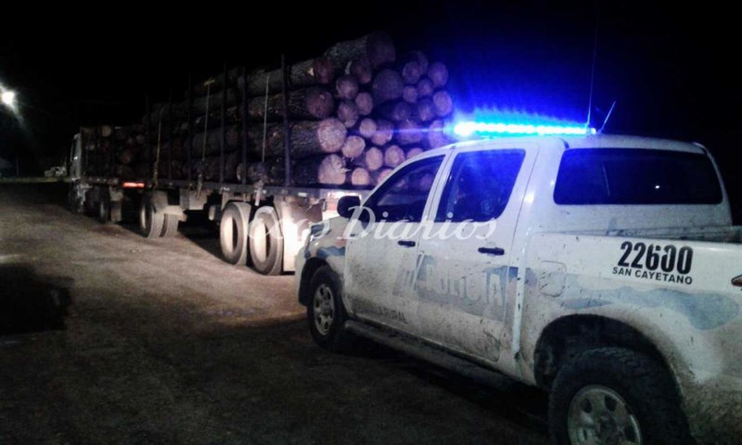 Secuestraron camión que transportaba 27 toneladas de rollizos sin autorización