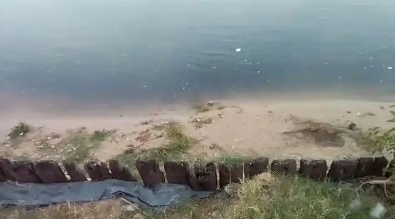 Denuncian "grave contaminación" en una playa entrerriana