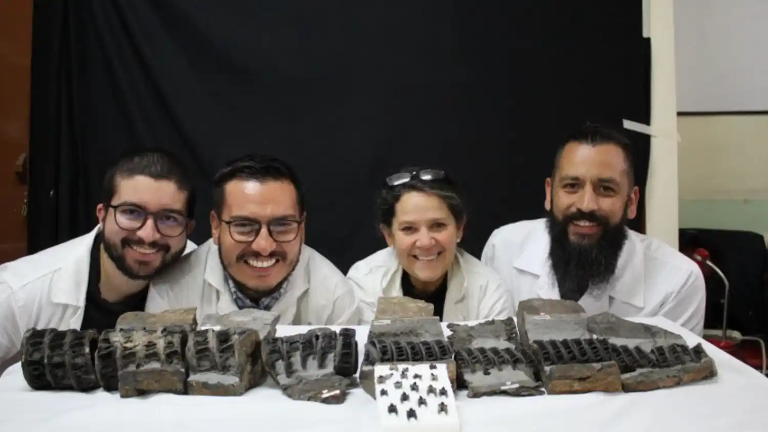 El fósil de tiburón gigante más antiguo y completo del mundo fue hallado en Colombia