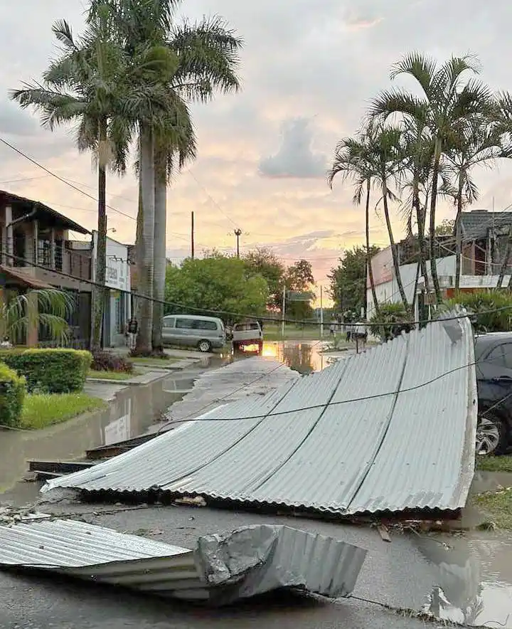 Feroz temporal causó daños en la ciudad y 
en el interior falleció un niño al caer un árbo