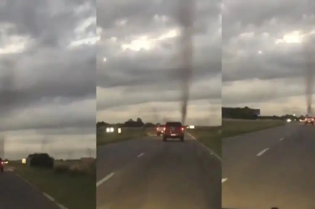 Impactante “tornado de mosquitos” en Pinamar