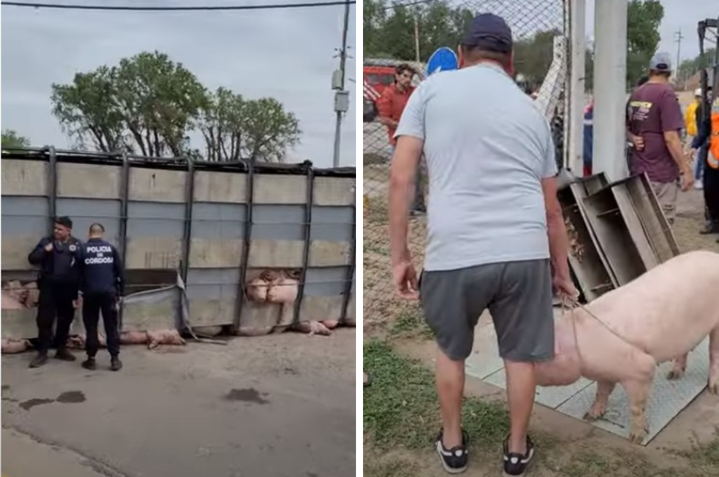 El conductor del vehículo-jaula perdió el control y quedó tirado de costado.