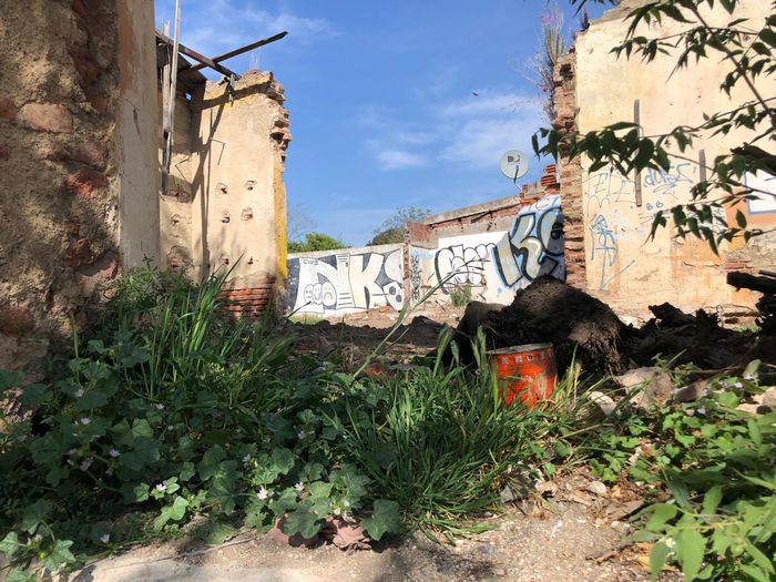 Terrenos abandonados y pastizales: las denuncias crecen con el calor y pese a las multas los casos siguen
