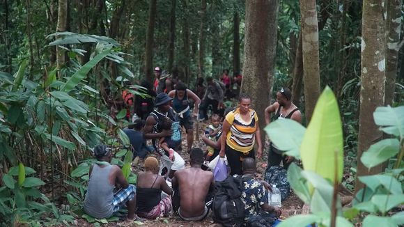 ¡TRAGEDIA! Casi 300 MIGRANTES han desaparecido o muerto este año en las rutas del Caribe