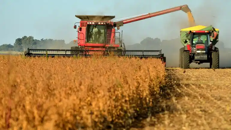 La agroindustria liquidó divisas por casi 23.720 millones de dólares durante el año