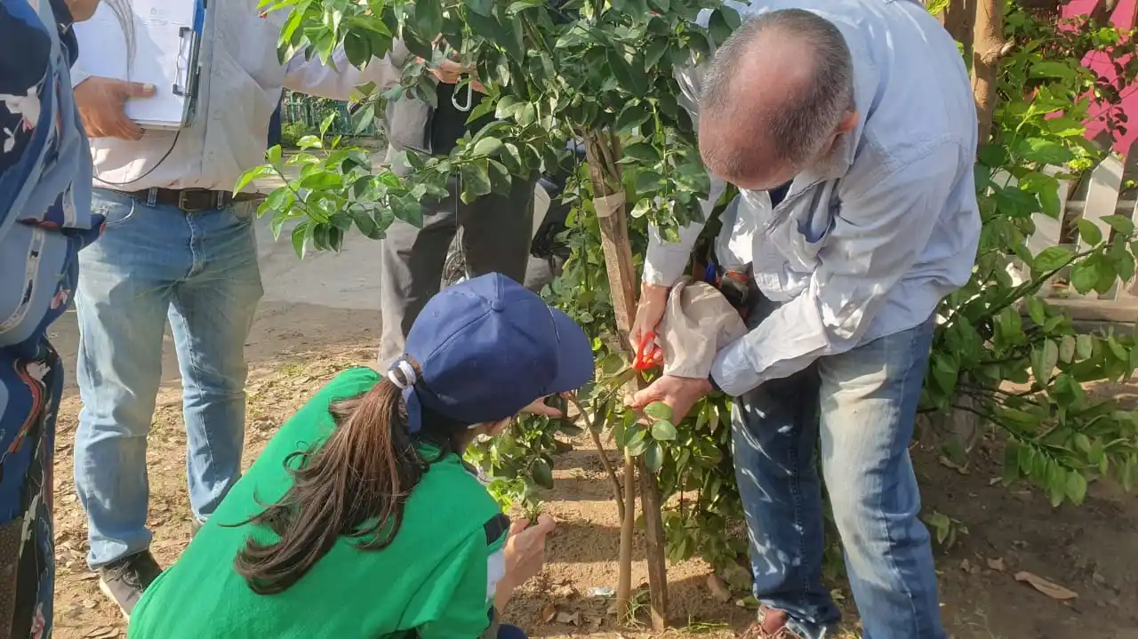 Acciones de monitoreo y difusión para la prevención del HLB en la provincia de Formosa