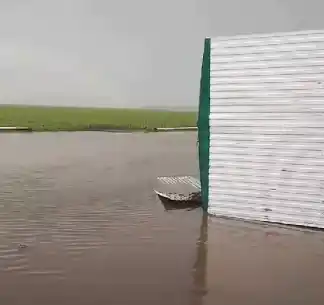 Destrucción en sembrados y casillas de campos de la zona (Videos)