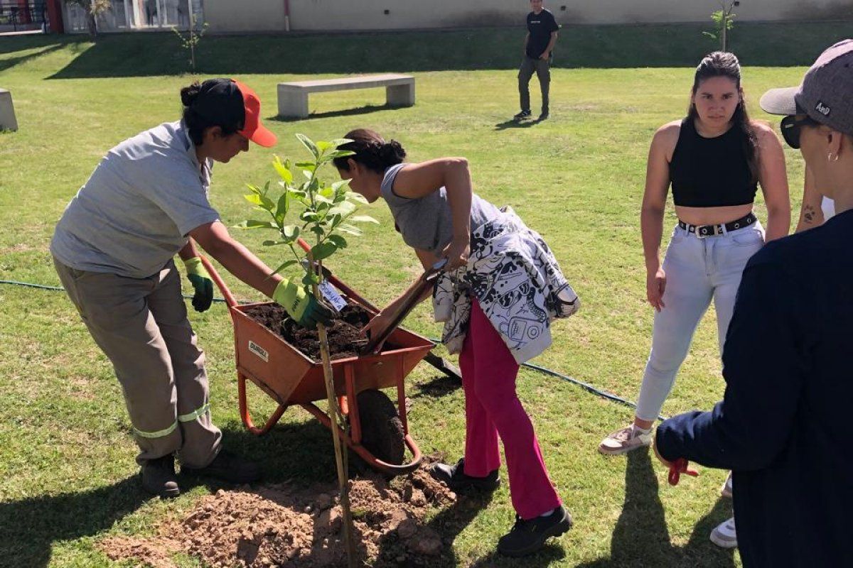 Se llevó a cabo la segunda jornada de plantación de árboles frutales nativos en la ciudad