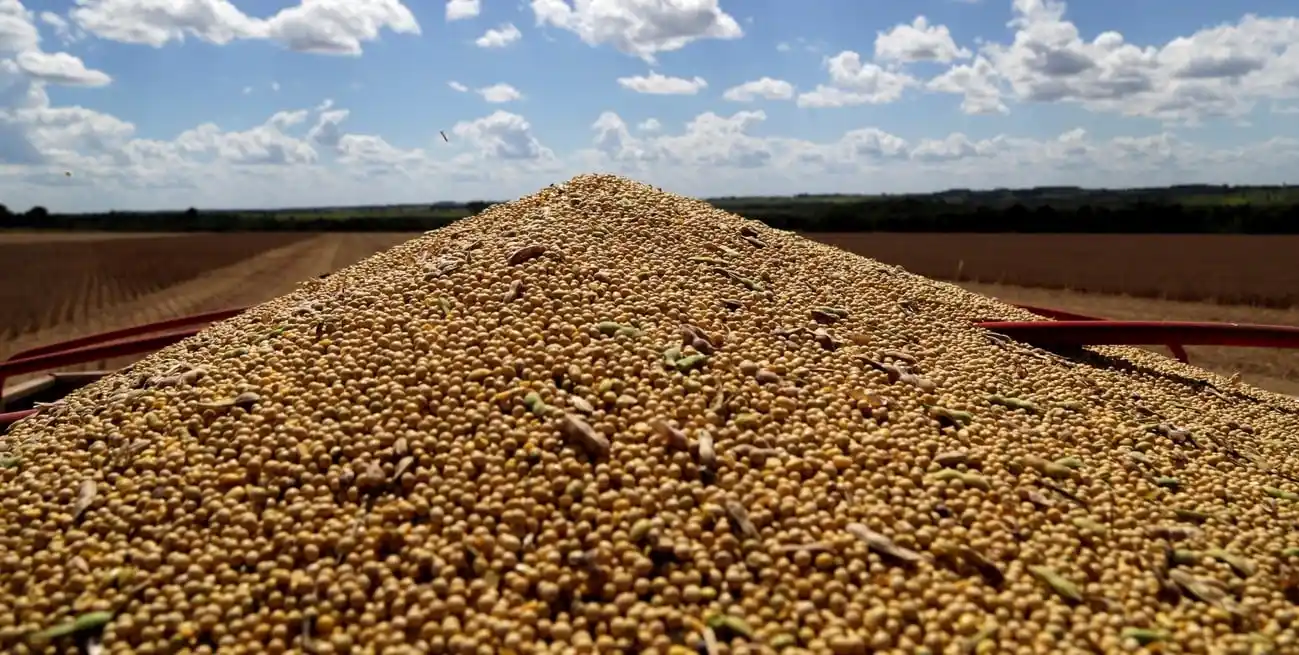 Proyecciones de corto y mediano plazo avizoran que el papel de China en el comercio mundial de cereales ya no será el mismo. Credito: REUTERS/Jorge Adorno