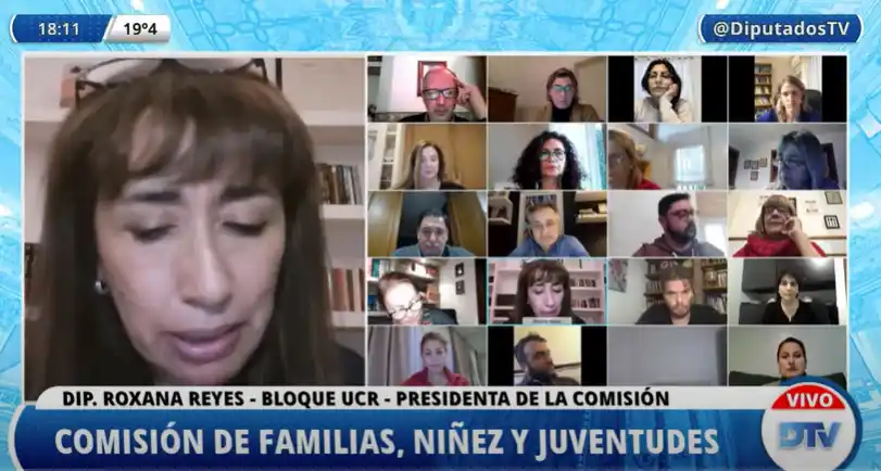 EN VIVO | Diputados recibe a especialistas para trabajar en los desafíos post pandemia par