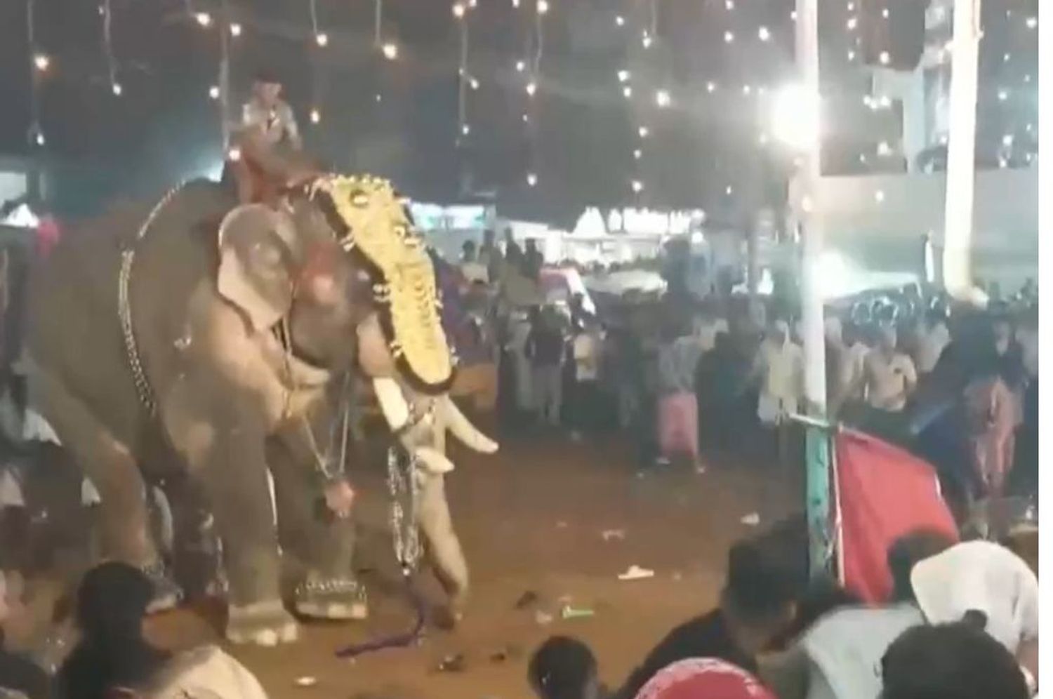 Un elefante ataca al público durante un festival