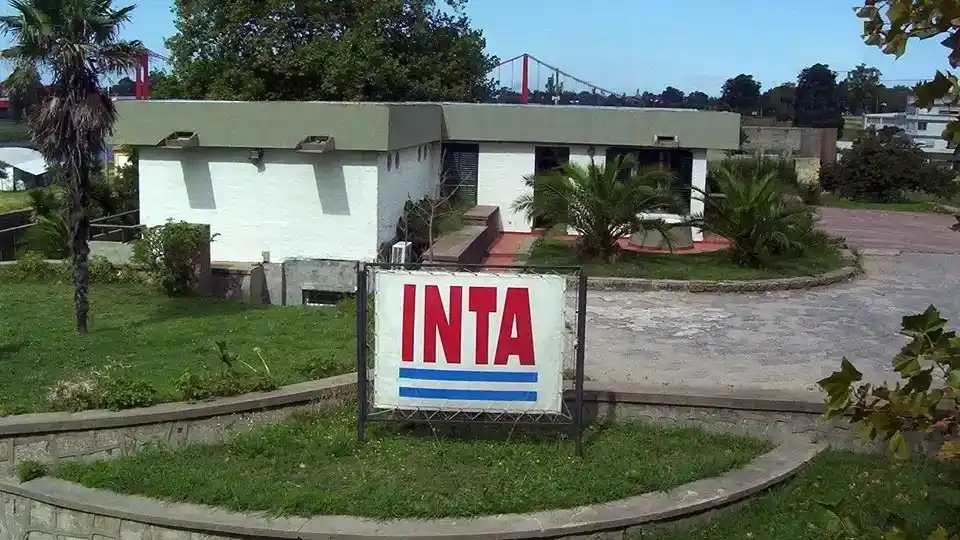 En la región Sur, el ajuste impactará sobre nueve dependencias