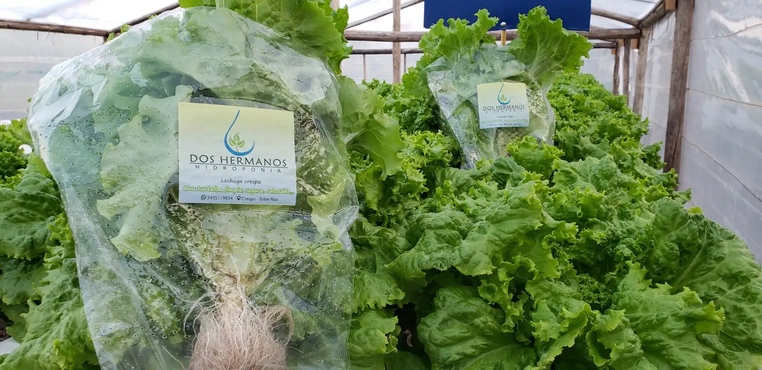 El emprendimiento de dos jóvenes crespenses empieza a dar sus frutos