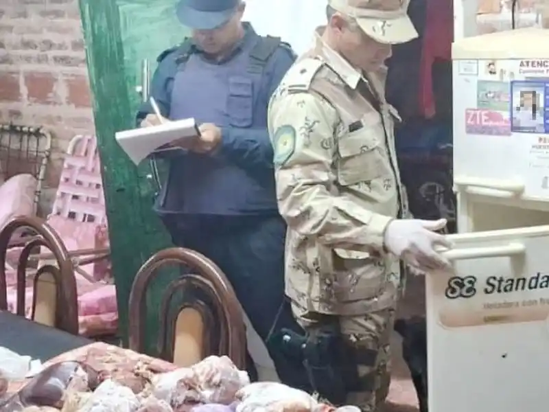Allanamiento positivo por abigeato: Secuestraron carne, armas y herramientas