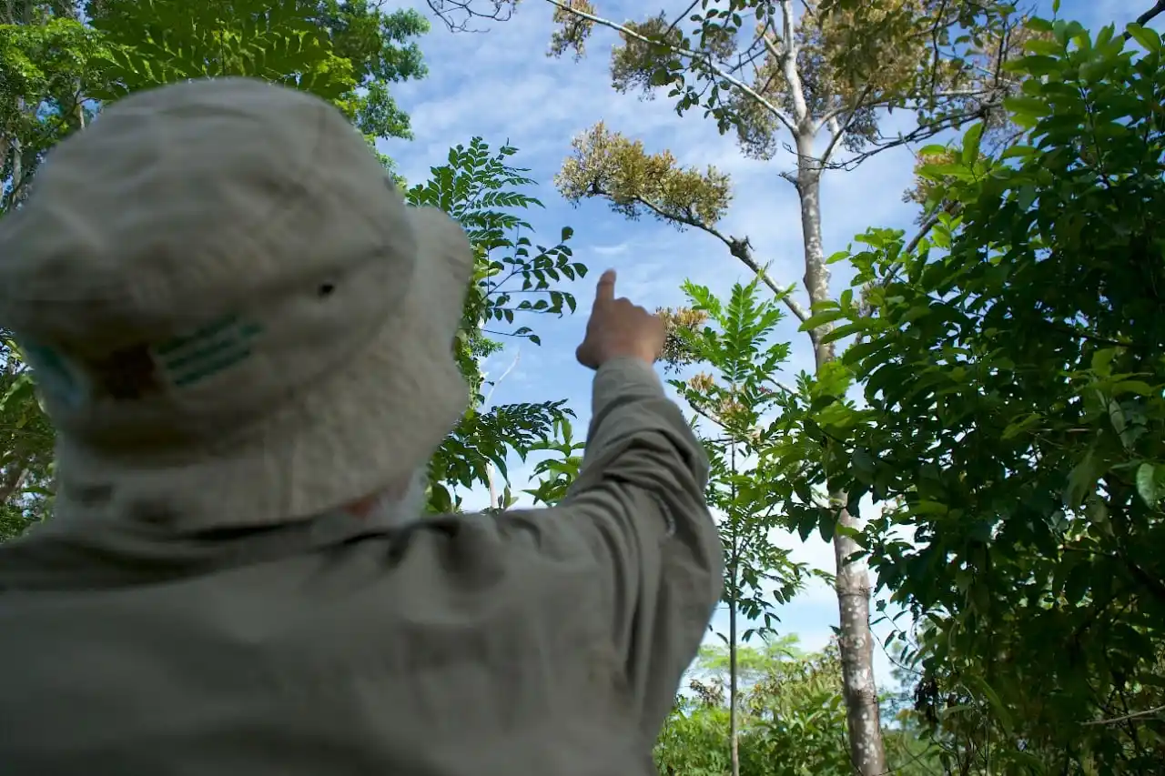 ¿Negocios ambientales que impactan en las políticas regionales?