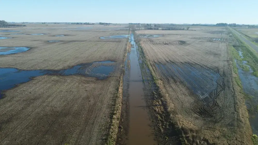 Juan Erreguerena: “Hay 25.700 hectáreas inundadas” y “Necochea espera la emergencia agropecuaria”