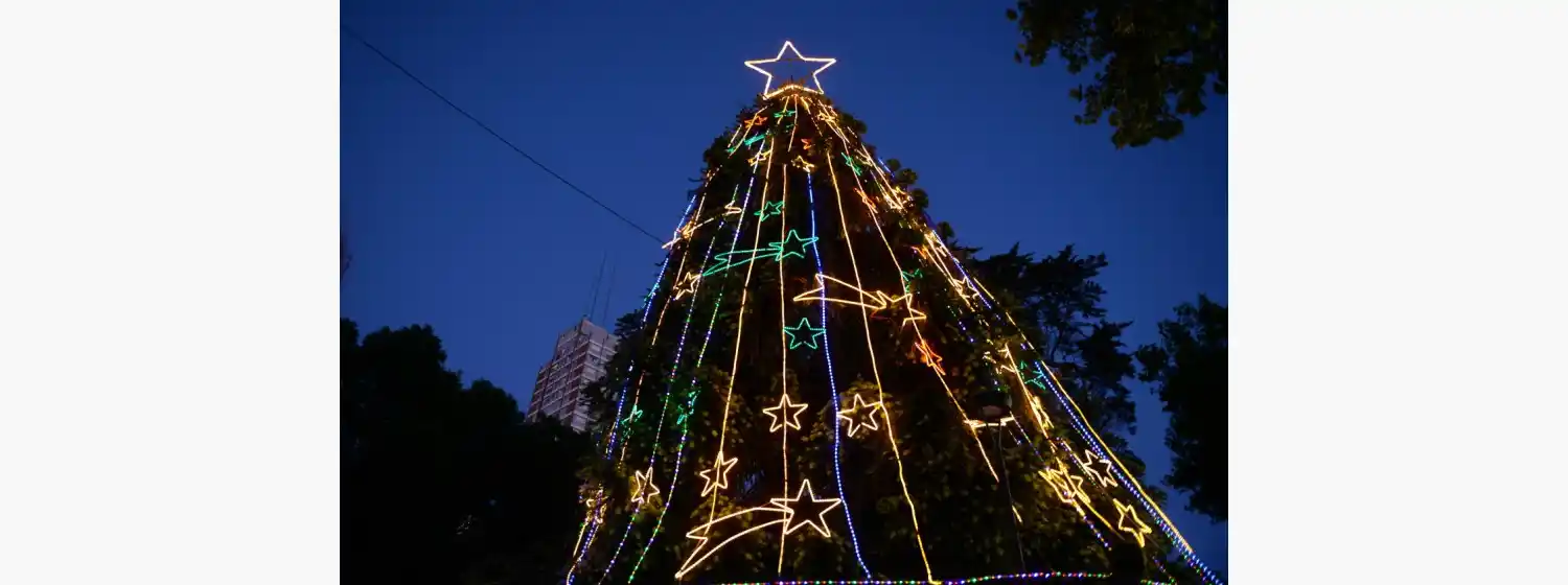 Navidad encendida en Mar del Plata