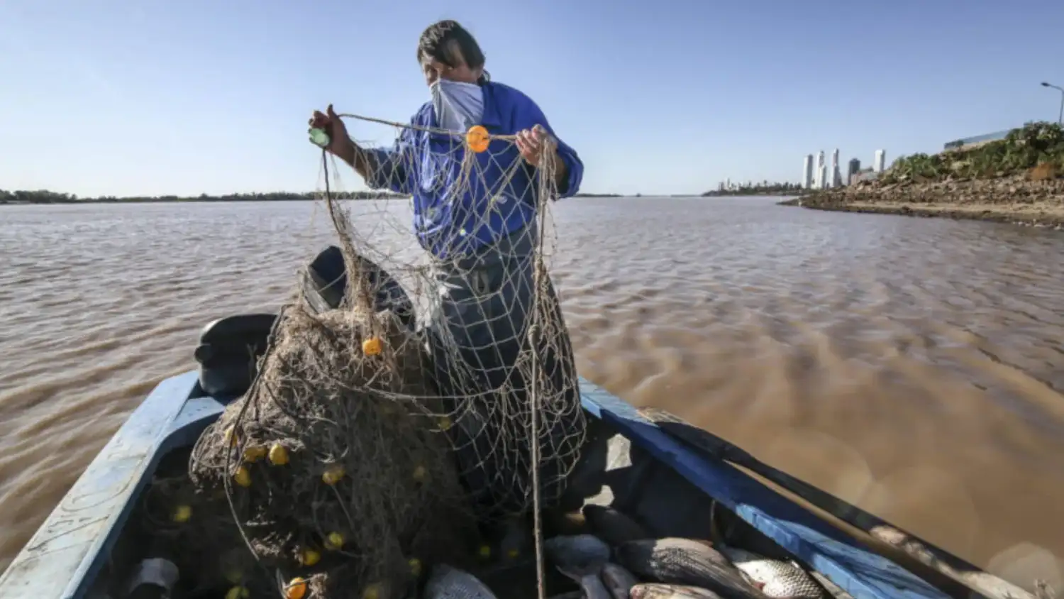 ACOPIO DE PECES