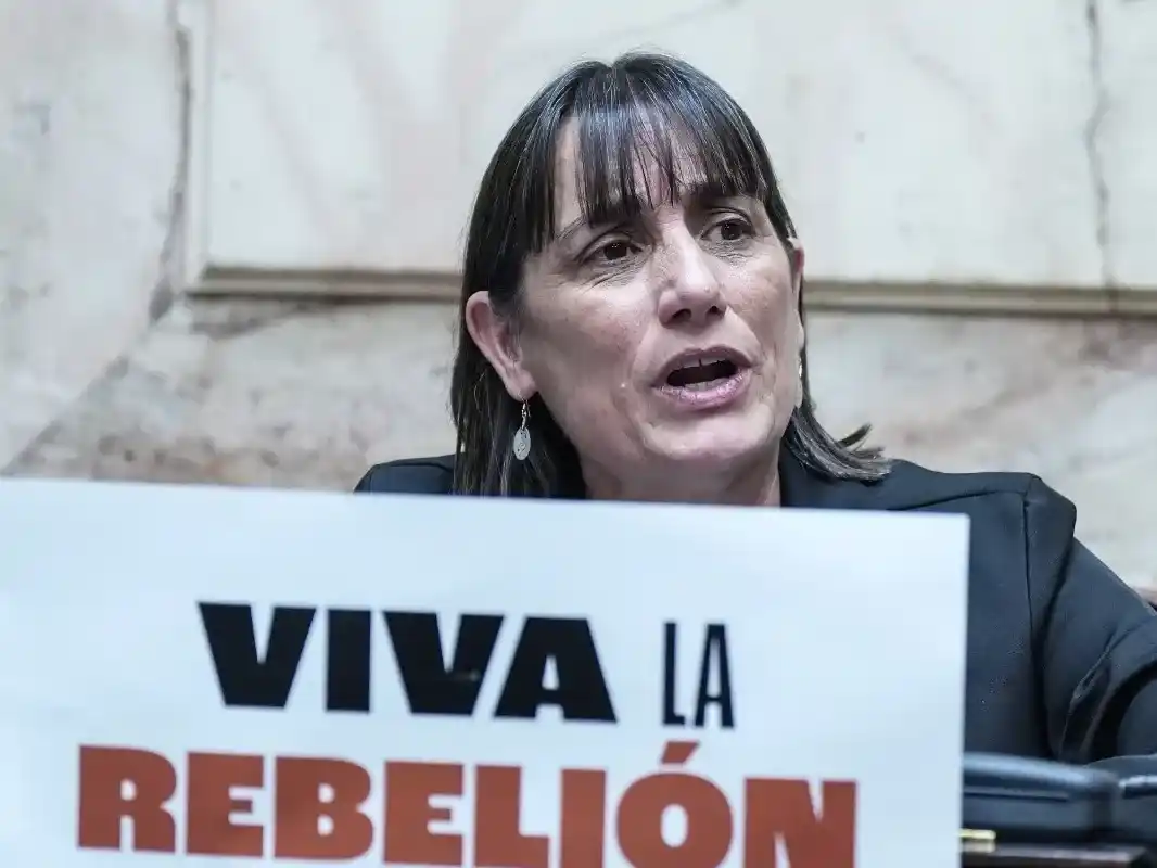 "Es una maniobra para beneficiar al gran capital": Romina Del Plá rechazó la Ley Hojarasca y defendió la Zona Fría