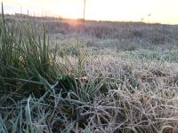 Alerta meteorológico para Tandil y la zona por frío extremo