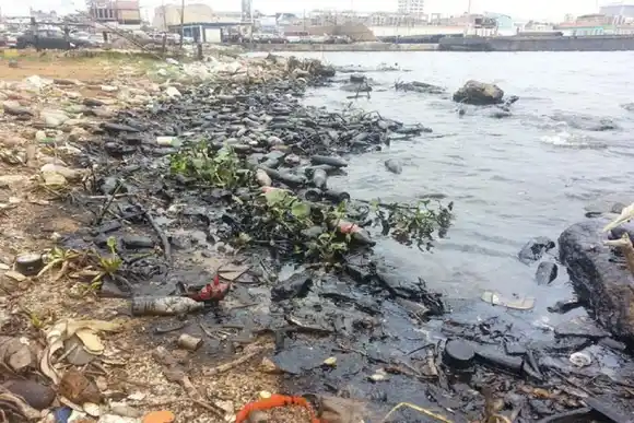 Denuncian que el 90 % de orillas del Lago de Maracaibo “están repletas de basura»