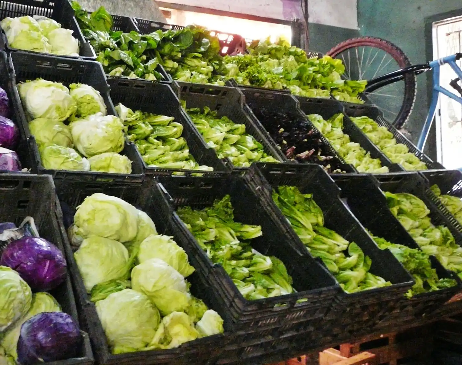 Lechuga más cara que el asado