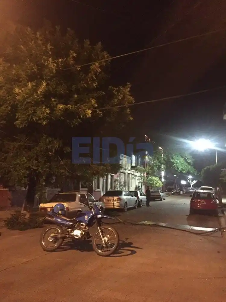 Un camión hizo destrozos en Costanera: se llevó puesto varios cables y un macetón