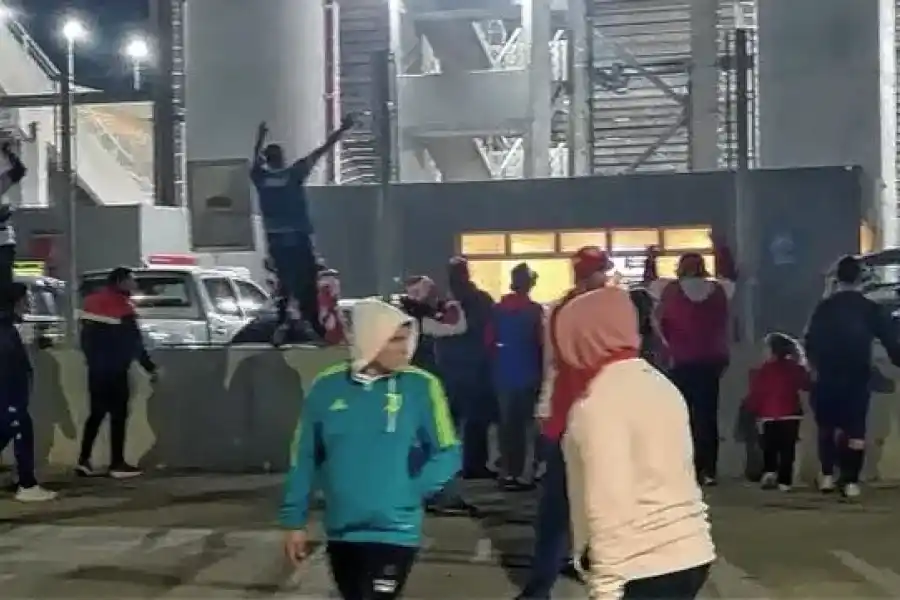 Los hicnhas enradecidos. (Diario Uno)