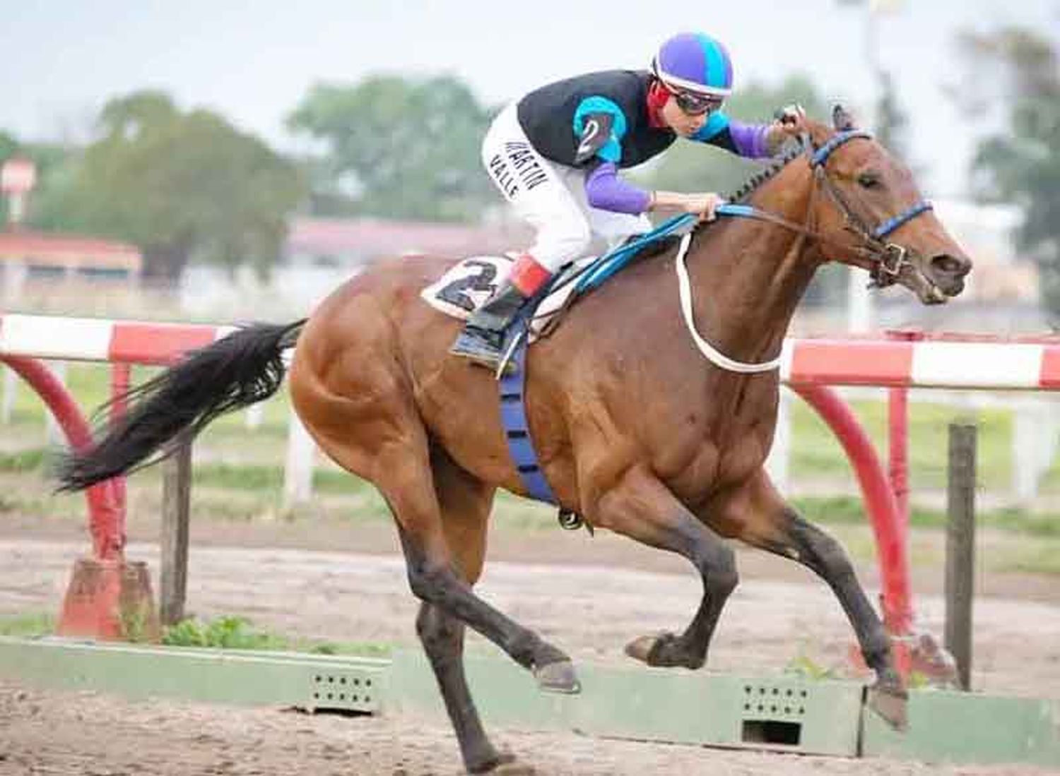 Viernes 25: Actividad Hipódromo de Palermo