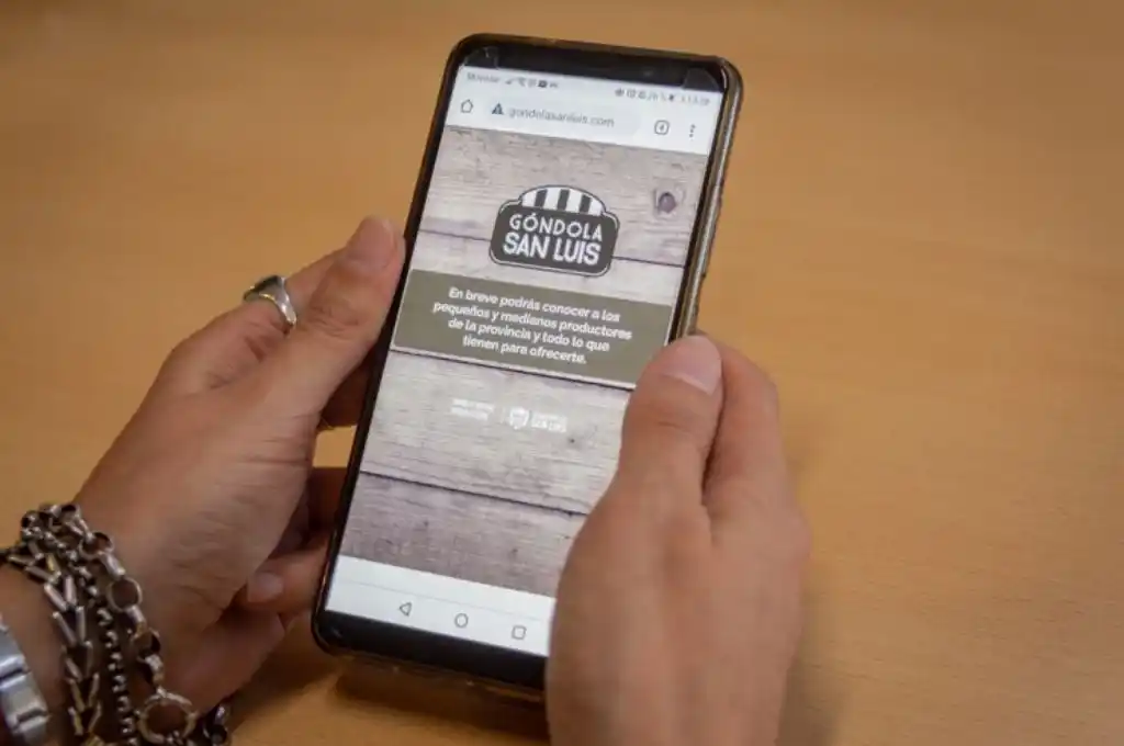 Trabajan en la creación del portal web gondolasanluis.com