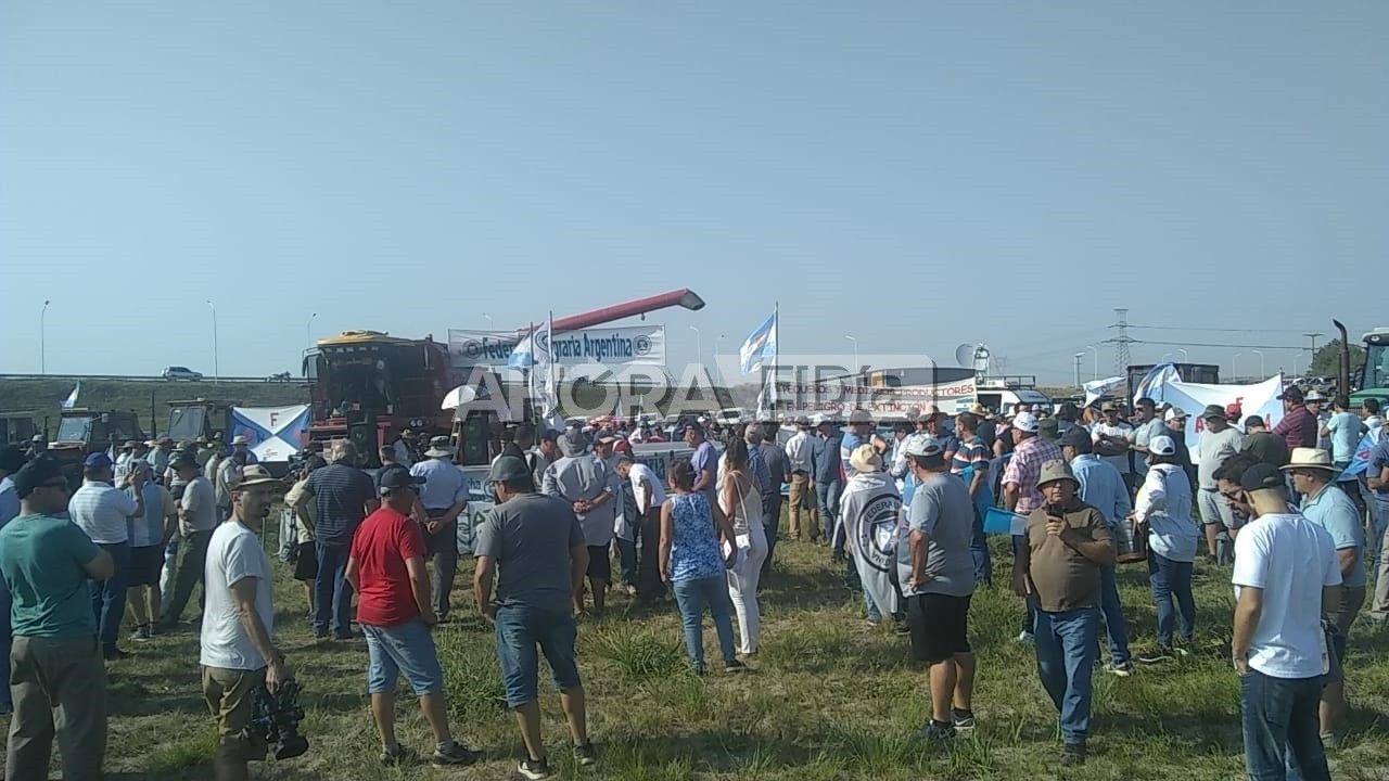 campo-3