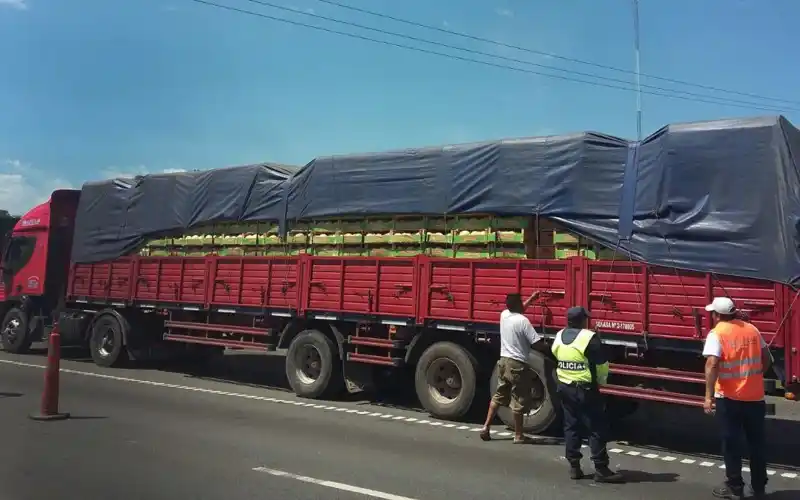 Durante 2016, el Senasa controló la carga de más de 3000 transportes en rutas del norte bonaerense