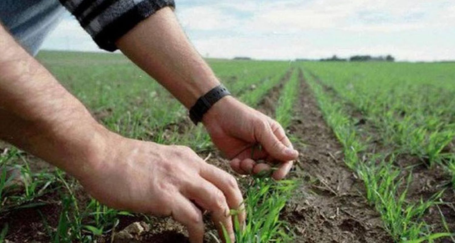 Productores optimistas, aun ante la dificultad de las lluvias