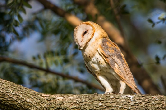 Guillermo Vidal - Fotógrafo - Disertará en una charla sobre fotografía de naturaleza "Belleza oculta de nuestra región " - 5
