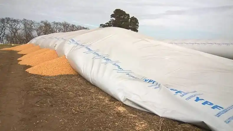 Confederaciones rurales repudian hechos de vandalismo y piden esclarecimiento