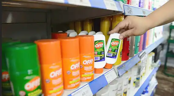 Explosión de mosquitos en Entre Ríos: Salud aclaró que la especie circulante no transmite dengue