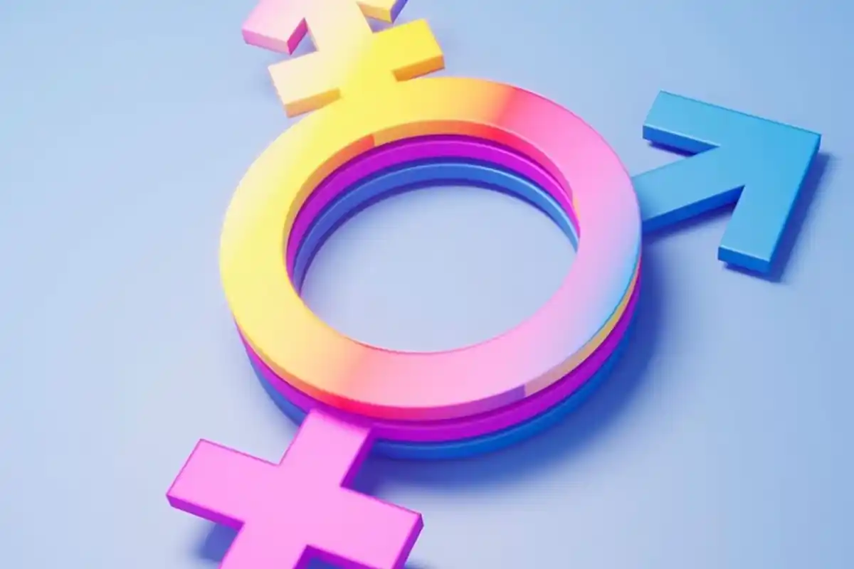 Censo 2022: Vicente López y General Pueyrredón son los municipios que registraron más personas no binarias