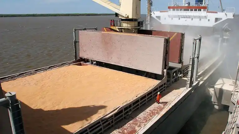 La cotización internacional de la soja se dispara a su máximo nivel