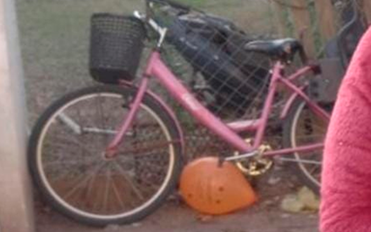 Buscan bicicleta rosa robada de Pavón al 300