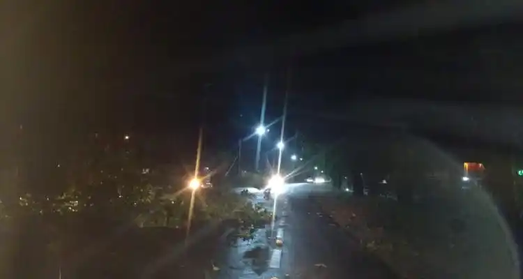 Temporal: La lluvia y el viento no causaron grandes complicaciones