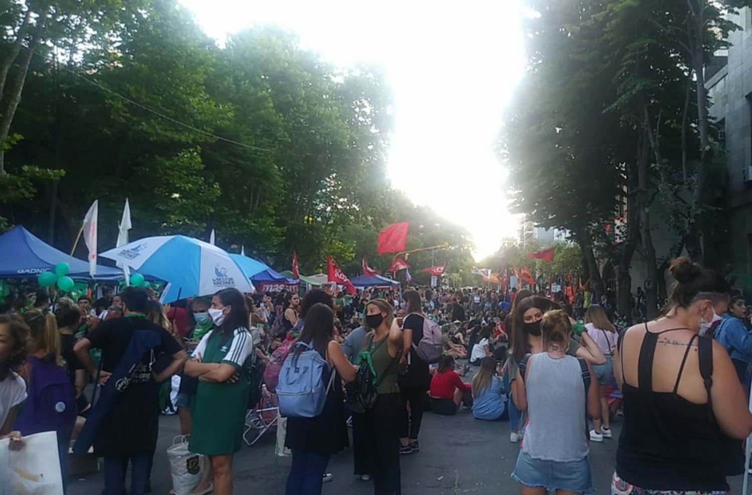 Marea verde: Mar del Plata vuelve a estar en vigilia por el debate del aborto