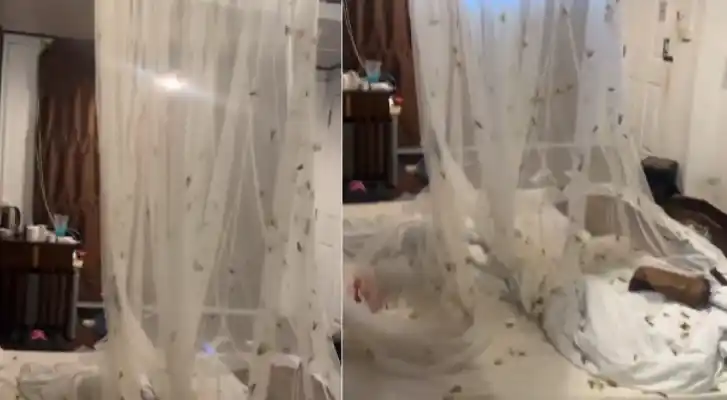 Vacaciones de terror